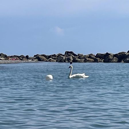 דירות ונטימיגליה Casa Aiga Marina מראה חיצוני תמונה